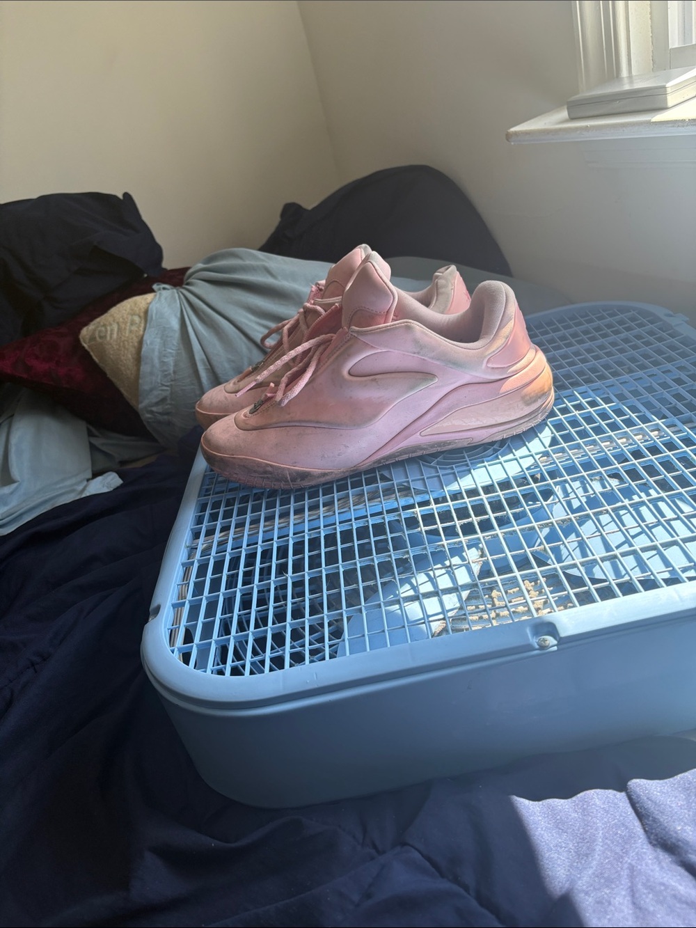 Converse Pink Women's Athletic Sneakers